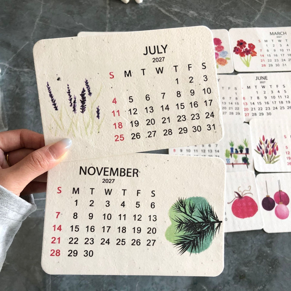 ✨Early Holiday Sale 70% OFF🌱Eco-Friendly Plantable “Timeless” Seed Calendar 2027